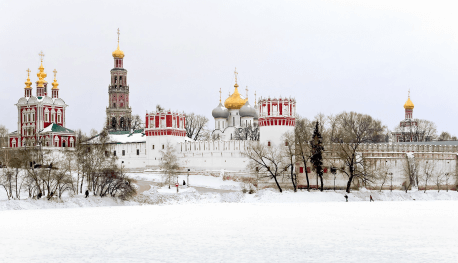 Экскурсия в Новодевичий монастырь